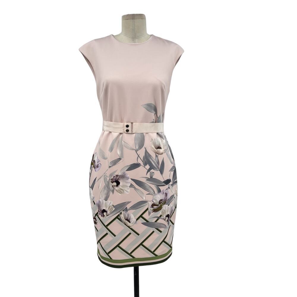 Ted Baker Haliey‎ Everglade Dress Pale Pink Floral Print Size 2 US 6 - Picture 2 of 15